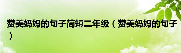 贊美媽媽的句子簡短二年級（贊美媽媽的句子）