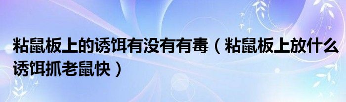 粘鼠板上的誘餌有沒有有毒（粘鼠板上放什么誘餌抓老鼠快）