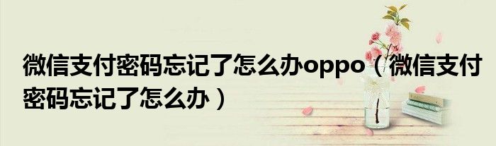 微信支付密碼忘記了怎么辦oppo（微信支付密碼忘記了怎么辦）