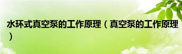 水環(huán)式真空泵的工作原理（真空泵的工作原理）