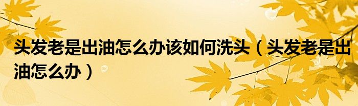 頭發(fā)老是出油怎么辦該如何洗頭（頭發(fā)老是出油怎么辦）