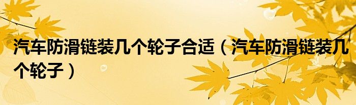 汽車防滑鏈裝幾個輪子合適（汽車防滑鏈裝幾個輪子）