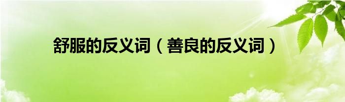 舒服的反義詞（善良的反義詞）