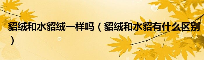 貂絨和水貂絨一樣嗎（貂絨和水貂有什么區(qū)別）