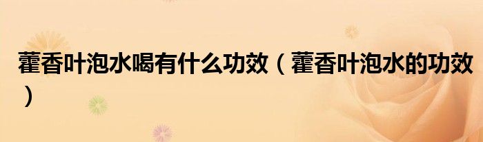 藿香葉泡水喝有什么功效（藿香葉泡水的功效）