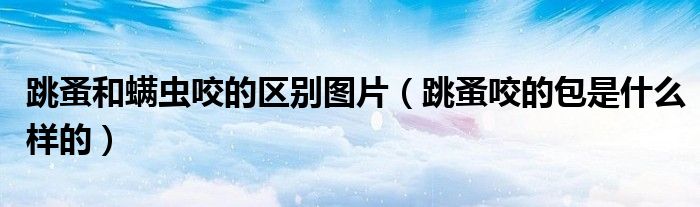 跳蚤和螨蟲(chóng)咬的區(qū)別圖片（跳蚤咬的包是什么樣的）