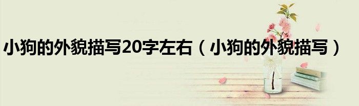 小狗的外貌描寫20字左右（小狗的外貌描寫）