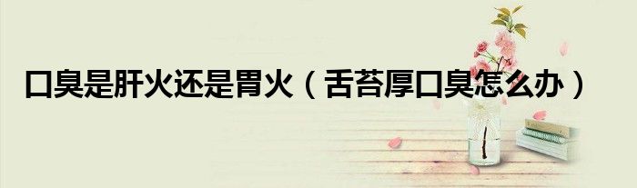 口臭是肝火還是胃火（舌苔厚口臭怎么辦）