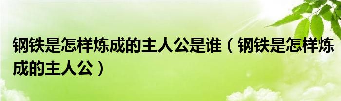 鋼鐵是怎樣煉成的主人公是誰（鋼鐵是怎樣煉成的主人公）