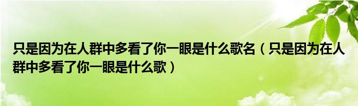 只是因為在人群中多看了你一眼是什么歌名（只是因為在人群中多看了你一眼是什么歌）