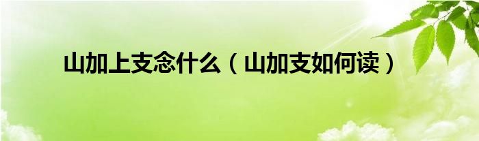 山加上支念什么（山加支如何讀）
