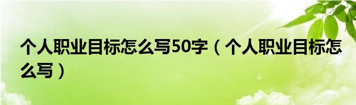 個人職業(yè)目標怎么寫50字（個人職業(yè)目標怎么寫）