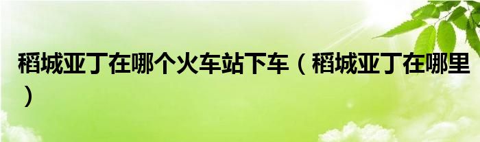 稻城亞丁在哪個(gè)火車站下車（稻城亞丁在哪里）
