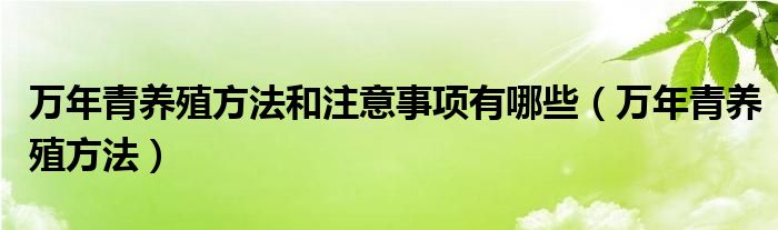 萬年青養(yǎng)殖方法和注意事項有哪些（萬年青養(yǎng)殖方法）