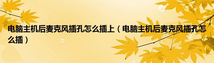 電腦主機(jī)后麥克風(fēng)插孔怎么插上（電腦主機(jī)后麥克風(fēng)插孔怎么插）