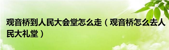 觀音橋到人民大會堂怎么走（觀音橋怎么去人民大禮堂）