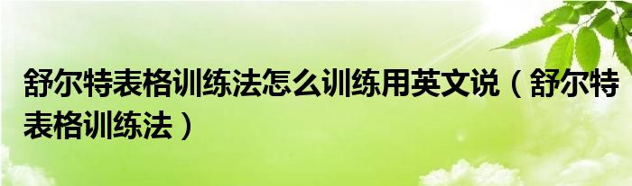 舒爾特表格訓(xùn)練法怎么訓(xùn)練用英文說（舒爾特表格訓(xùn)練法）
