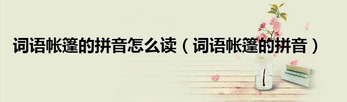 詞語(yǔ)帳篷的拼音怎么讀（詞語(yǔ)帳篷的拼音）