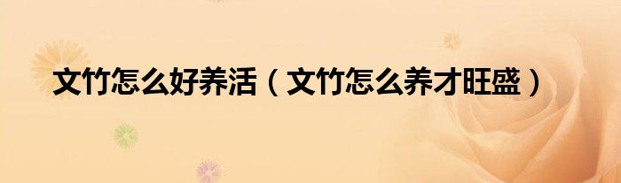 文竹怎么好養(yǎng)活（文竹怎么養(yǎng)才旺盛）