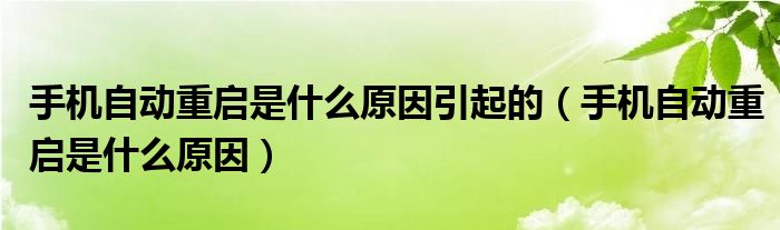 手機(jī)自動(dòng)重啟是什么原因引起的（手機(jī)自動(dòng)重啟是什么原因）