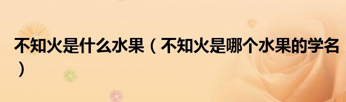 不知火是什么水果（不知火是哪個水果的學(xué)名）