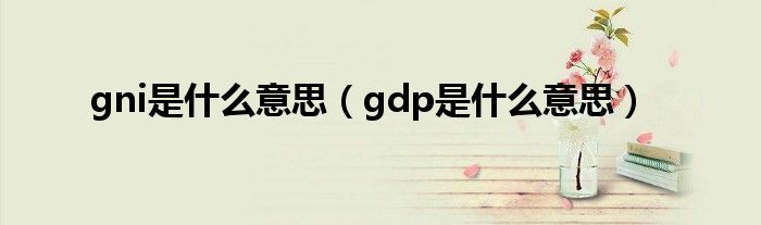gni是什么意思（gdp是什么意思）