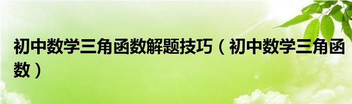 初中數(shù)學(xué)三角函數(shù)解題技巧（初中數(shù)學(xué)三角函數(shù)）