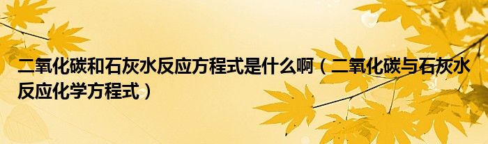 二氧化碳和石灰水反應(yīng)方程式是什么?。ǘ趸寂c石灰水反應(yīng)化學(xué)方程式）