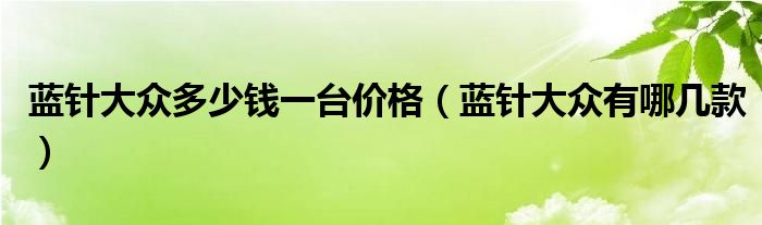 藍針大眾多少錢一臺價格（藍針大眾有哪幾款）