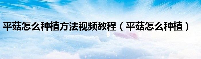 平菇怎么種植方法視頻教程（平菇怎么種植）
