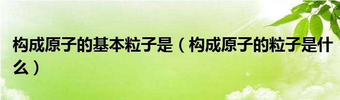 構(gòu)成原子的基本粒子是（構(gòu)成原子的粒子是什么）