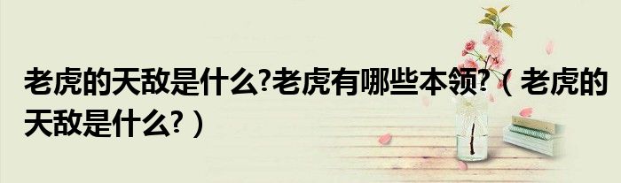 老虎的天敵是什么?老虎有哪些本領(lǐng)?（老虎的天敵是什么?）