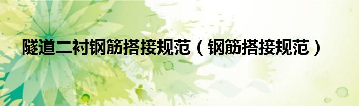 隧道二襯鋼筋搭接規(guī)范（鋼筋搭接規(guī)范）