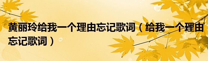 黃麗玲給我一個理由忘記歌詞（給我一個理由忘記歌詞）