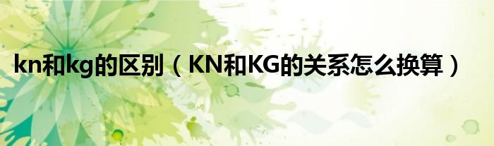 kn和kg的區(qū)別（KN和KG的關(guān)系怎么換算）
