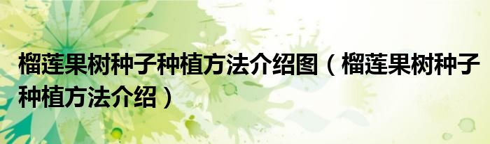 榴蓮果樹(shù)種子種植方法介紹圖（榴蓮果樹(shù)種子種植方法介紹）