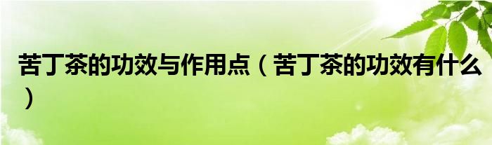 苦丁茶的功效與作用點（苦丁茶的功效有什么）