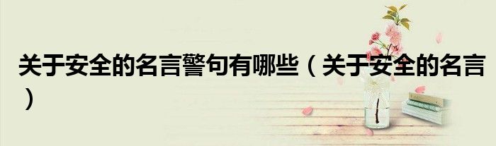 關(guān)于安全的名言警句有哪些（關(guān)于安全的名言）
