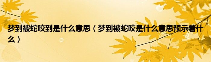 夢(mèng)到被蛇咬到是什么意思（夢(mèng)到被蛇咬是什么意思預(yù)示著什么）