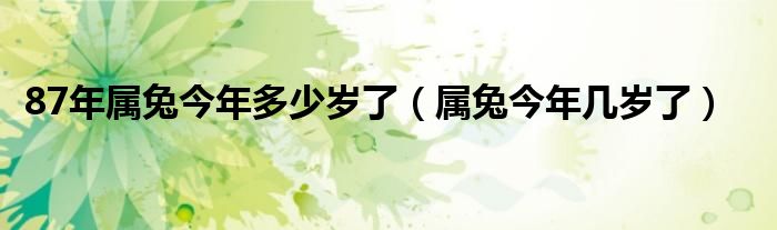 87年屬兔今年多少歲了（屬兔今年幾歲了）