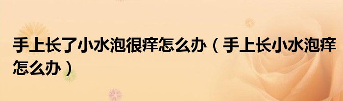 手上長了小水泡很癢怎么辦（手上長小水泡癢怎么辦）
