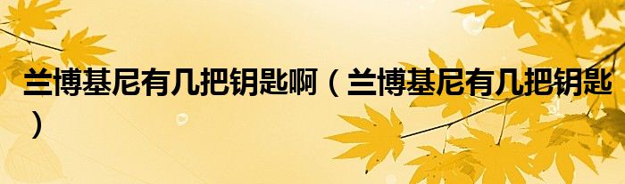 蘭博基尼有幾把鑰匙?。ㄌm博基尼有幾把鑰匙）