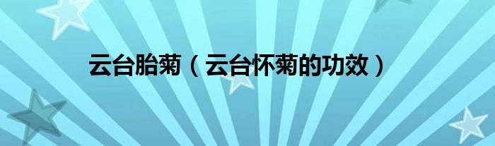 云臺(tái)胎菊（云臺(tái)懷菊的功效）