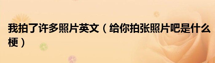 我拍了許多照片英文（給你拍張照片吧是什么梗）
