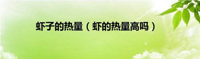 蝦子的熱量（蝦的熱量高嗎）
