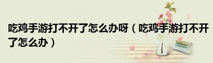 吃雞手游打不開了怎么辦呀（吃雞手游打不開了怎么辦）