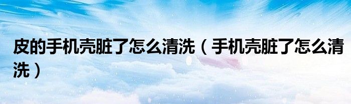 皮的手機殼臟了怎么清洗（手機殼臟了怎么清洗）