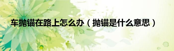 車拋錨在路上怎么辦（拋錨是什么意思）
