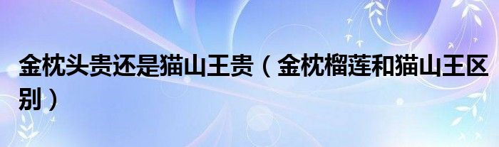 金枕頭貴還是貓山王貴（金枕榴蓮和貓山王區(qū)別）
