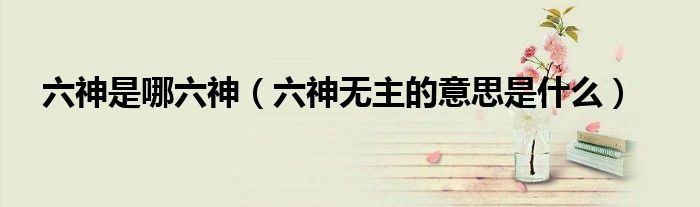 六神是哪六神（六神無主的意思是什么）